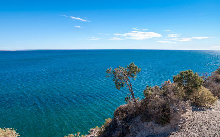 Argentine (Puerto Madryn)